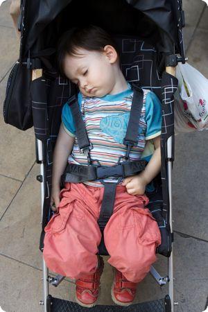 toddler sleep expert